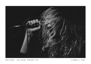 David Pirner, Soul Asylum