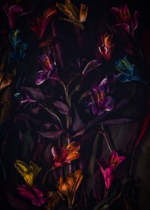Beauty in death