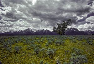 Grand Tetons