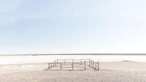 Pet Area                                                          © Nicolo Sertorio