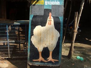 Big chicken, north of Madurai, Tamil Nadu, 2010.