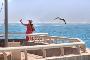 Seagull´s selfie