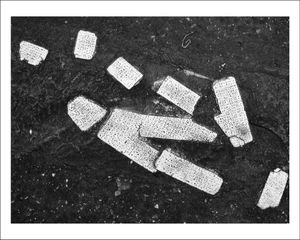 TRACES-PARIS - Sans titre