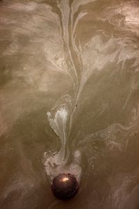 Untitled (Gowsanus Canal)