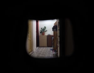 Houses are disappearing 10