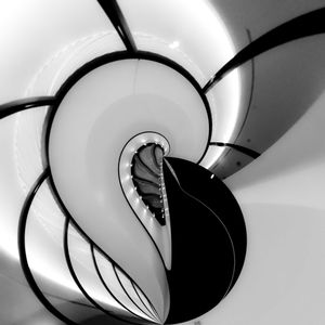Fibonacci forever