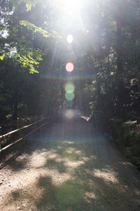 LIGHT WITHIN