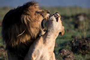 Passion