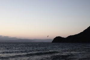 second morning #08