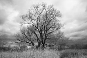 Late Autumn Landscape 2
