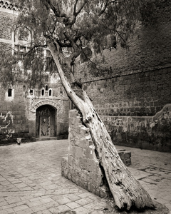 Ancient Courtyard, Sana'a