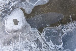 Loops and Layers, Lake Hoare, Antarctica
