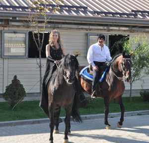 Happiness In The Saddle