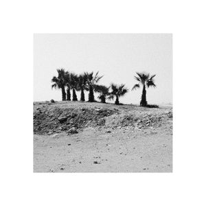 Palm, Sea, Land