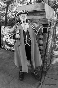 Town Crier, Camden, London