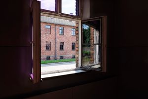 Auschwitz Window View No. 5