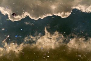 Untitled (Gowsanus Canal)