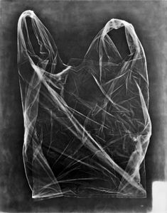 50X60 cm, 2011© Raina Vlaskovska