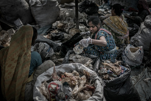Life in Waste