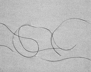 Sea Etching 56
