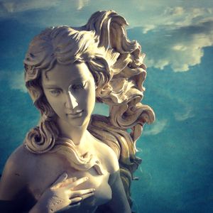 THE VENUS PROJECT