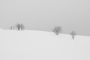 Biei Hokkaido