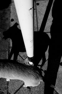 Buenos Aires, 2014