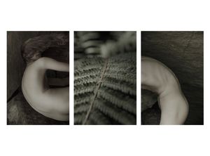Leaves of grass - Ample are time and space - 2017