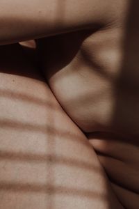 Window shadows.