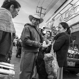 © Francisco Alcala Torreslanda