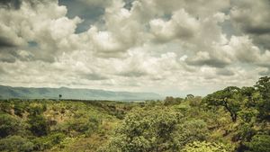 tazara.088