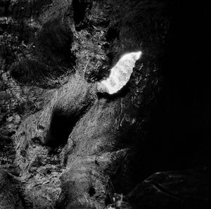 © Stuart Rome