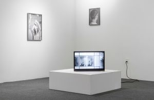 We Buy Gold, Home Movies, and Other Pictures, Exhibition view, International Center of Photography-Bard MFA Studios, 2015