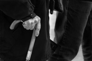 Taken to the walking stick