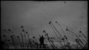 Forlorn