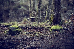 Isle Of Skye #17