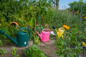 Watering pots