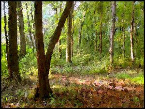 Walkwood