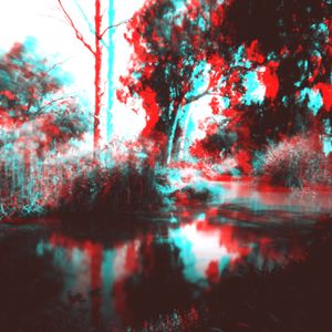 along the riverbank