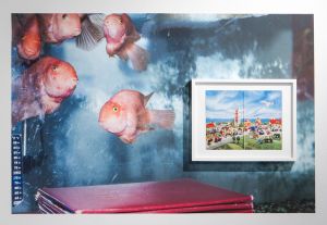 Kum Kau Fish, 2014, Vinyl, 40 x 50 inches; Legoland Catalog, Pigment print, 14 x 18 inches