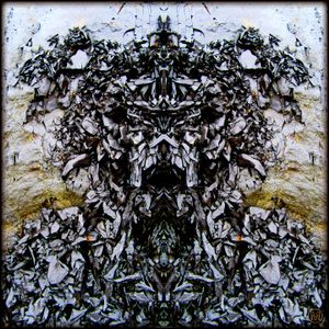 Rock Face (8266)
