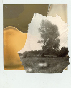 Constructed Landscapes 7