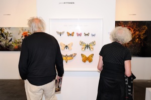 Art Fair