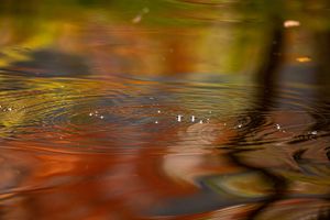 Impressioni d'autunno_01