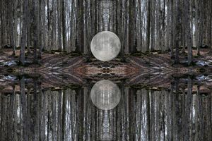 Parallel Universes#4