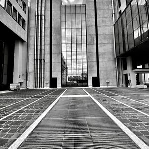 The University of Medicine of Ancona
