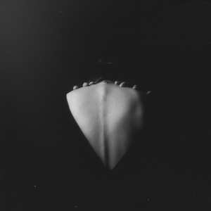 Black Velvet
