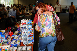 Miniature Fair