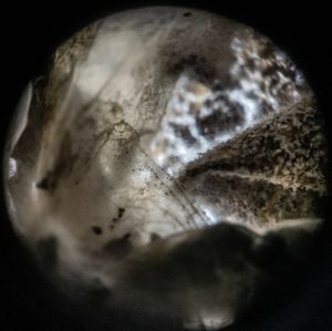 Amalgamated Fragmentations / Plastiverse 11