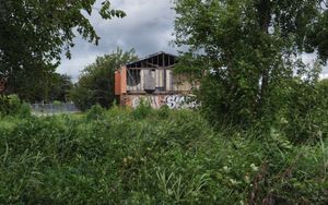 Through the Weeds